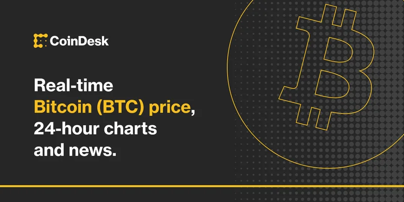 Bitcoin Price: What's the Deal?